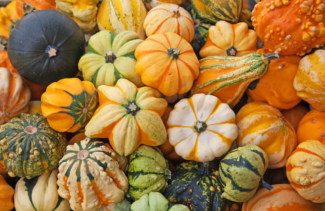 zero waste vegan recipes - Article 3